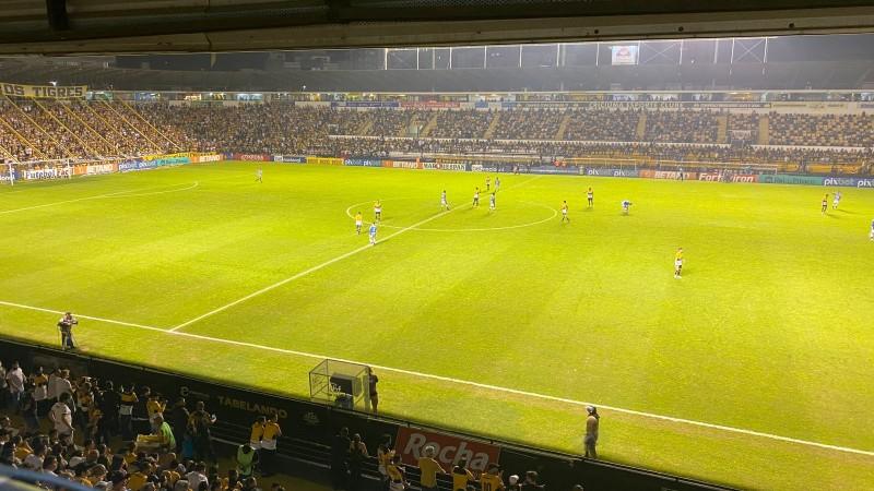 Ao vivo: Criciúma entra em campo para enfrentar o CSA