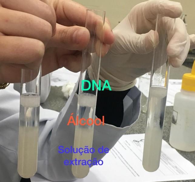 Estudantes aprendem a tingir roupas com a técnica tie-dye