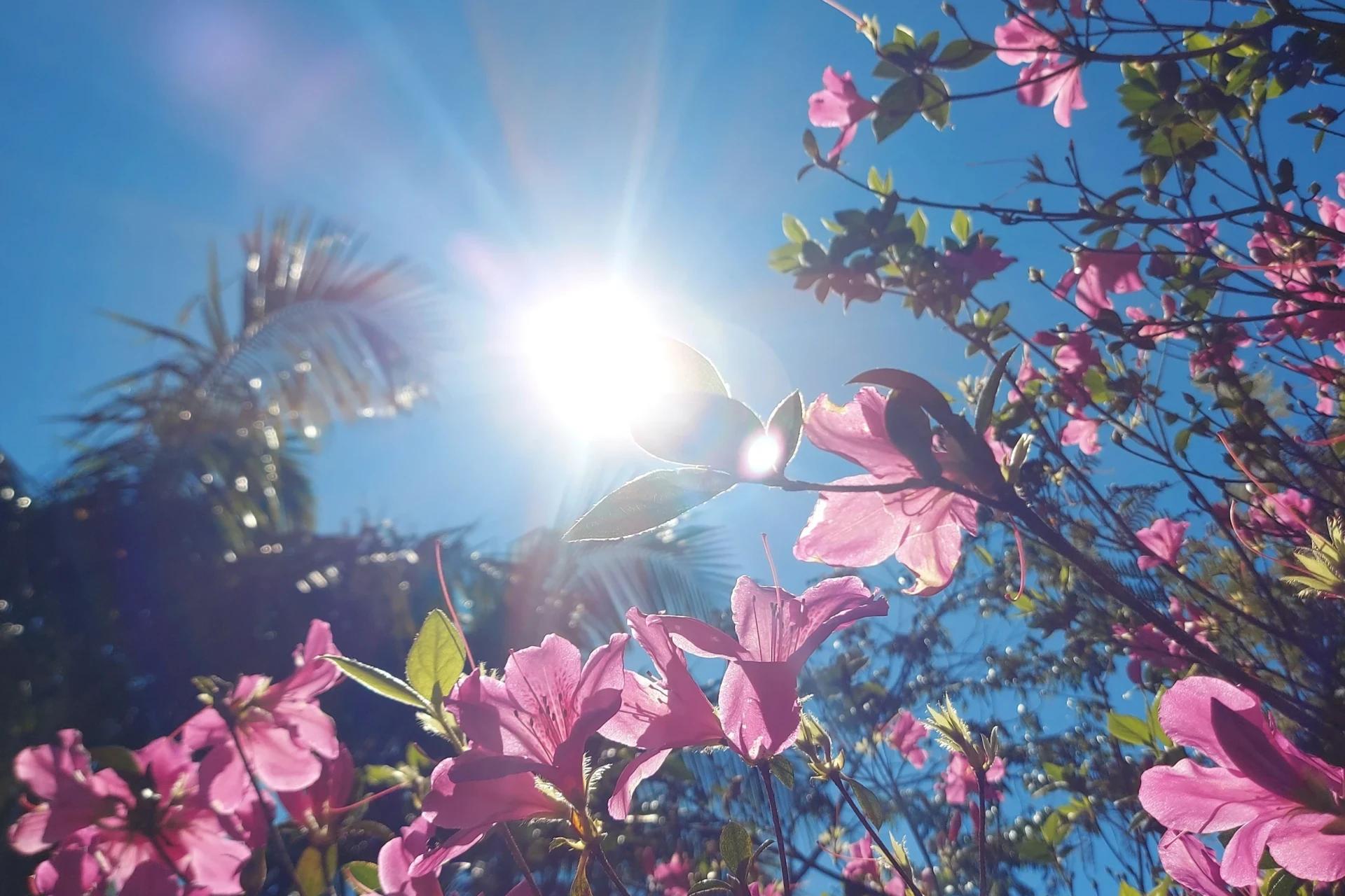 Temperaturas amenas e chuvas abaixo da média: confira a previsão do tempo para o mês de abril