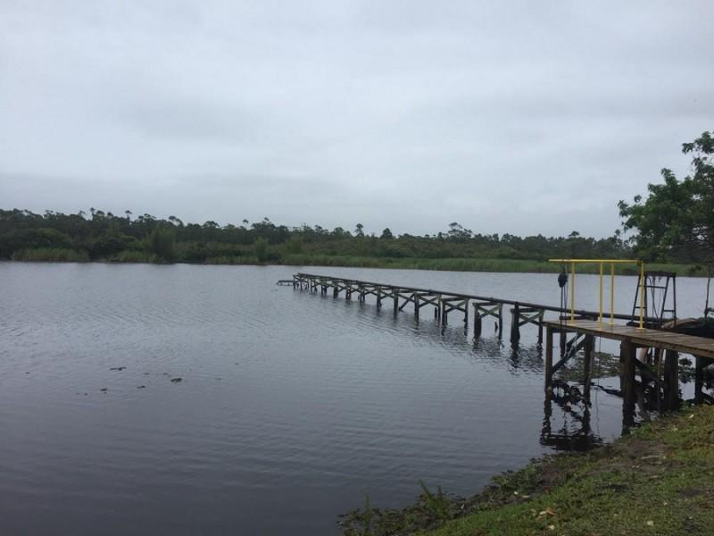 Limpeza da Lagoa da Terneira é concluída