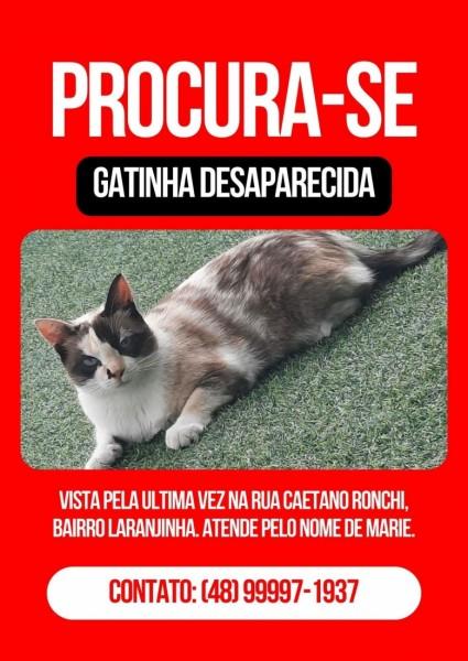 Procura-se Marrie