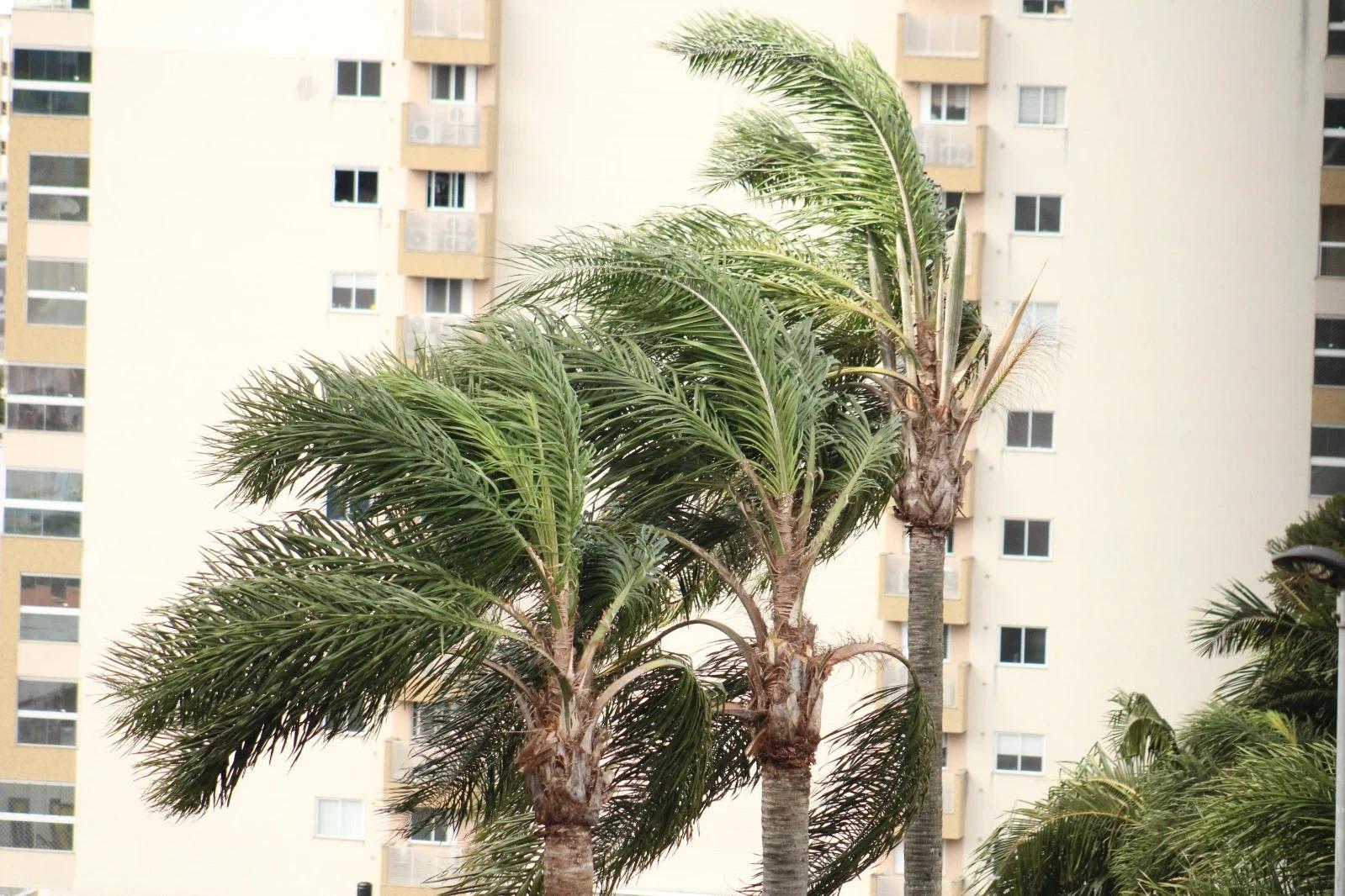 Terça-feira terá ventos fortes e tempo ensolarado na região carbonífera