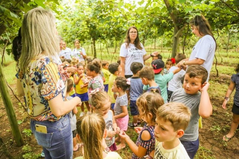 Colônia de Férias: Alunos visitam parreirais e aprendem sobre alimentação saudável