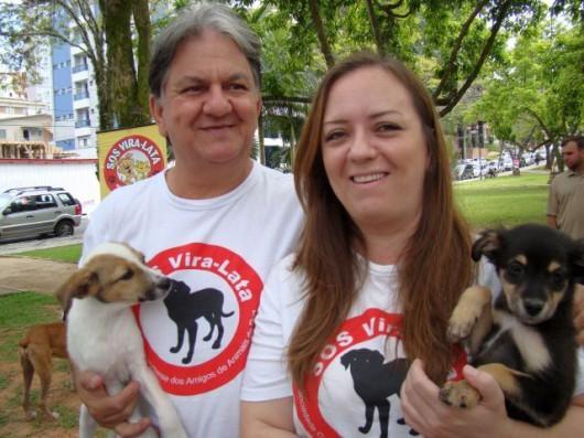 As histórias por trás dos animais abandonados