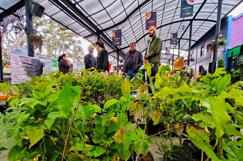Mais de 300 mudas de árvores são distribuídas em Nova Veneza