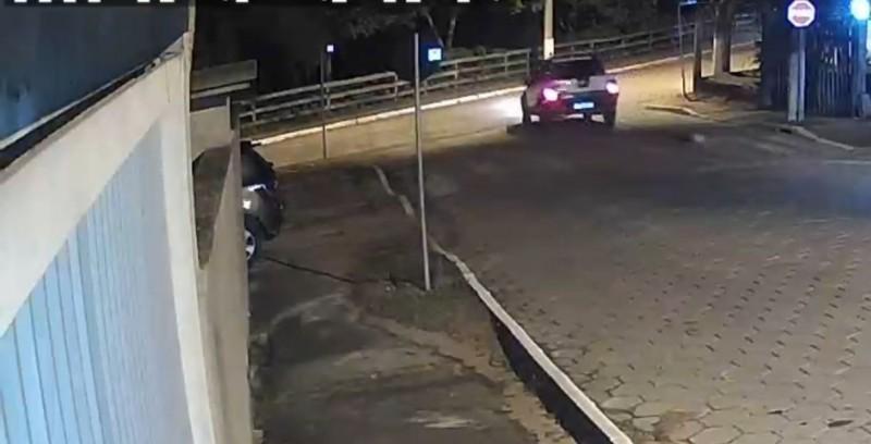 Polícia Civil busca identificar motorista que arrastou cachorro em Morro da Fumaça 
