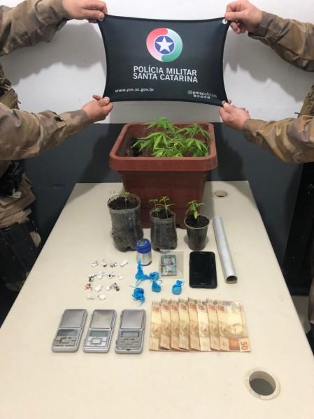Pés de maconha são apreendidos pela PM em Içara