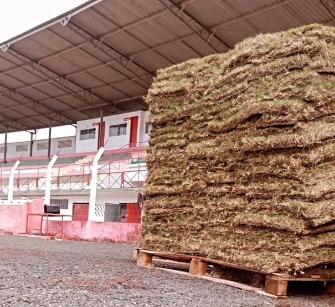 Próspera começa plantio da nova grama no estádio Engenheiro Mário Balsini