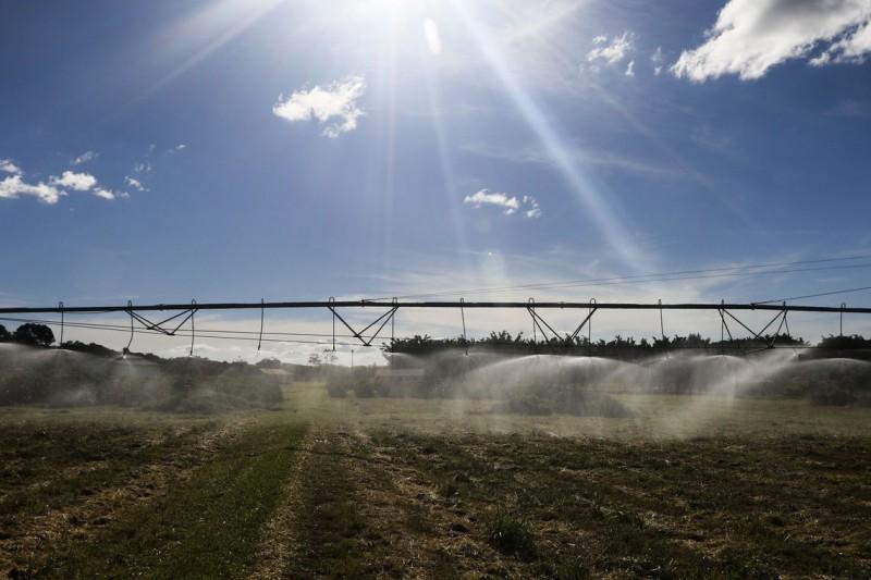 Valor da produção agropecuária de 2019 atinge recorde de R$ 630,9 bi