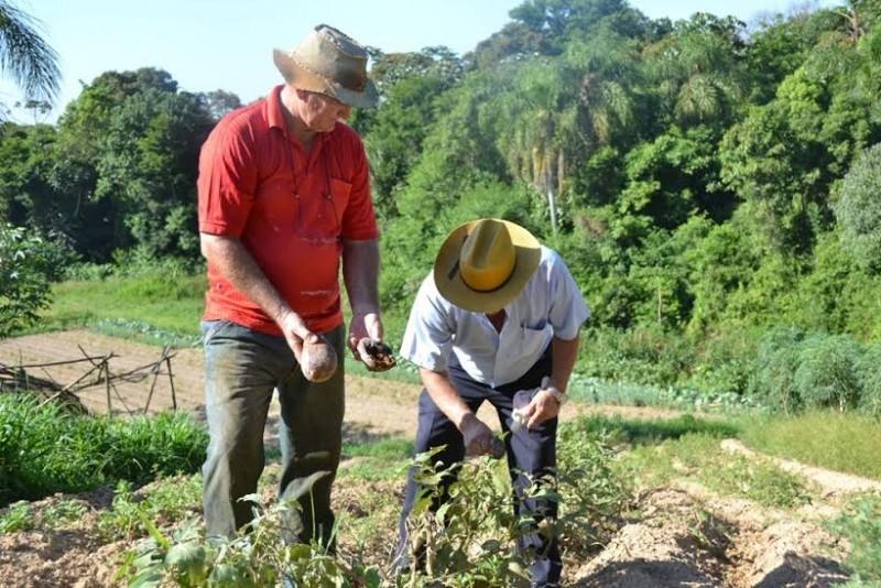 Saúde e Comsea realizam Seminário Municipal de Segurança Alimentar e Nutricional