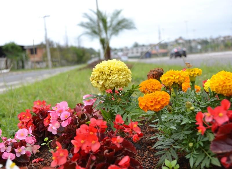 Avenida Gabriel Zanette mais bonita com novas árvores e flores