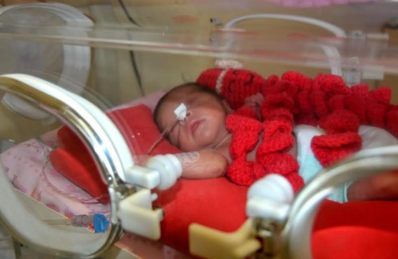 Bebês prematuros: os cuidados do Hmisc e o apoio dos profissionais aos pais 