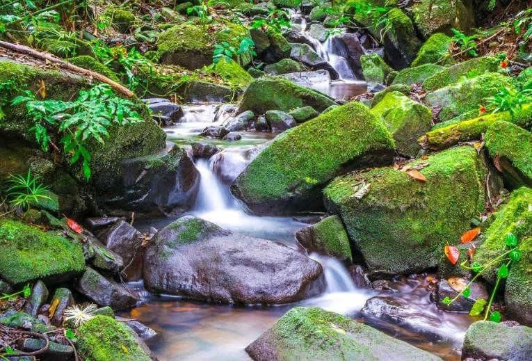 Abertas as inscrições para o 5° Concurso de Fotografia e Meio Ambiente