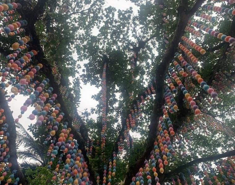 Forquilhinha tem a maior Osterbaum do Sul de Santa Catarina