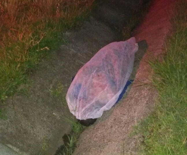 Atropelado, corpo de pedestre é encontrado na marginal da BR-101