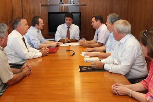 Comitiva de Criciúma solicita à Celesc instalação de rede subterrânea 