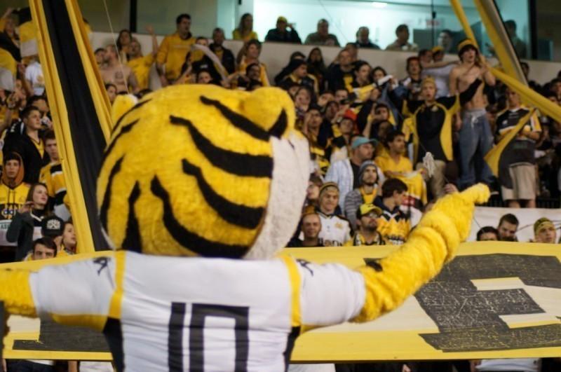 Tigre vai ter que pagar ISSQN sobre a renda dos jogos