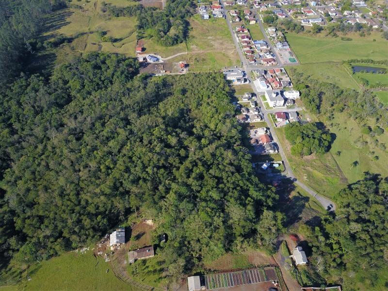 Década das Nações Unidas da Restauração de Ecossistemas será tema de seminário