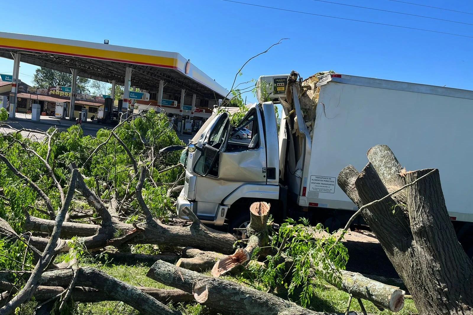 Caminhão é atingido por árvore durante temporal em Jaguaruna