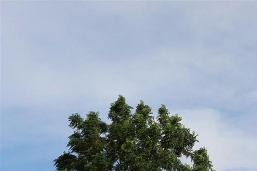 Temperatura em Criciúma chegou aos 35ºC neste domingo 
