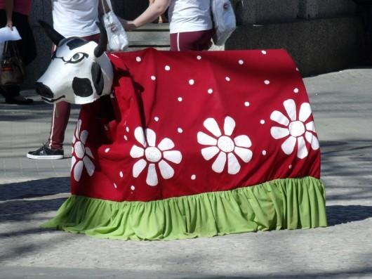 Fundação Cultural de Criciúma celebra Dia do Folclore