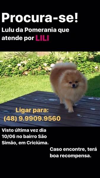 Procura-se Lili