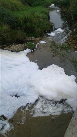 Famcri investiga excesso de espuma no Rio Criciúma