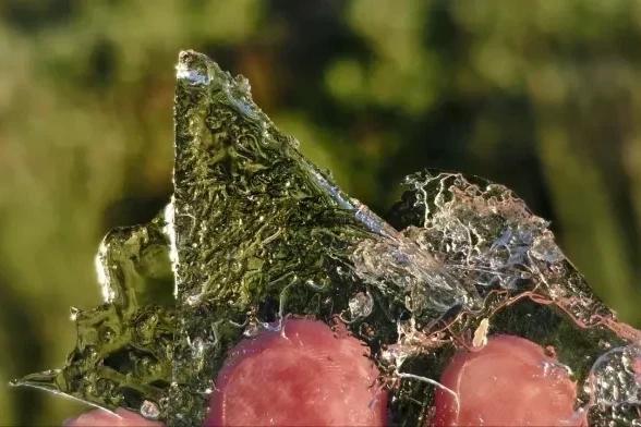 Serra catarinense amanhece com geada e temperaturas próximas de 0°C; veja fotos e vídeo