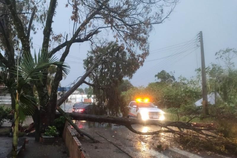 Temporal em Içara destelhou casas, arrancou estruturas e árvores
