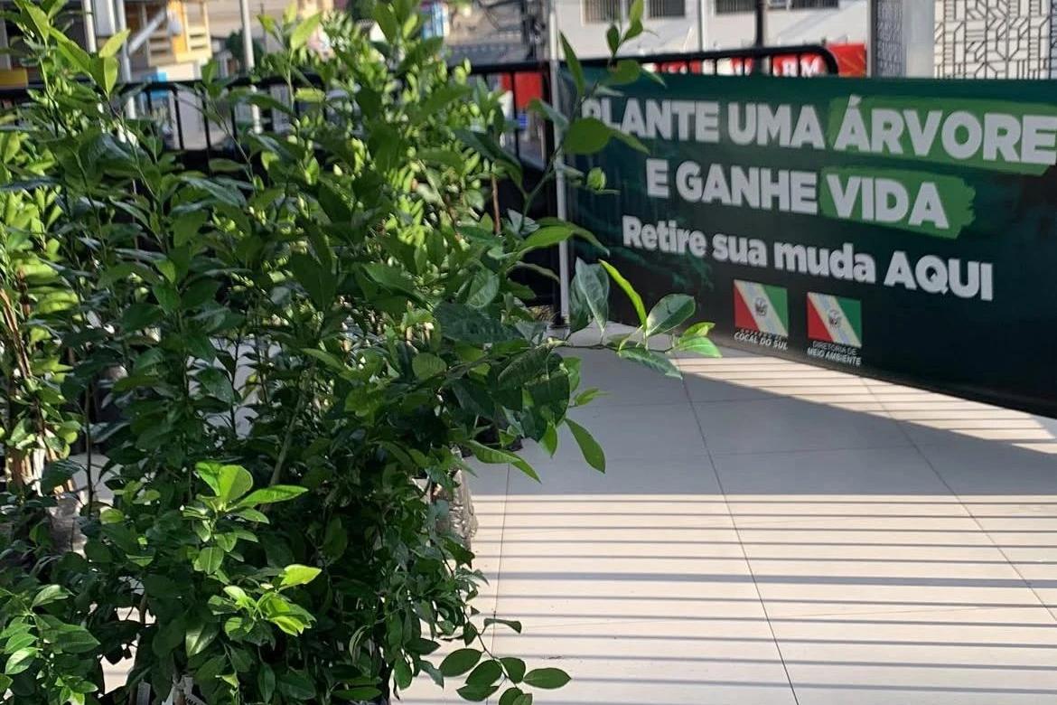 Semana do Meio Ambiente terá ‘Cãominhada’ e atrações gratuitas em Cocal do Sul