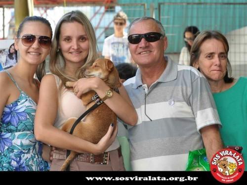 Procura-se Nique no bairro Santo Antônio em Criciúma