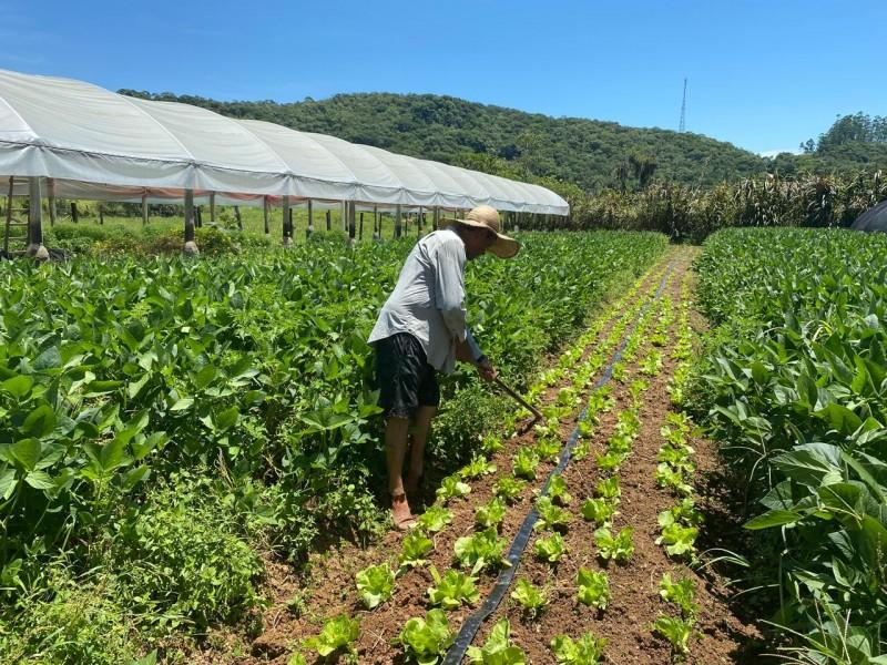 Agricultores de SC podem se cadastrar para vender produtos no Programa de Aquisição de Alimentos
