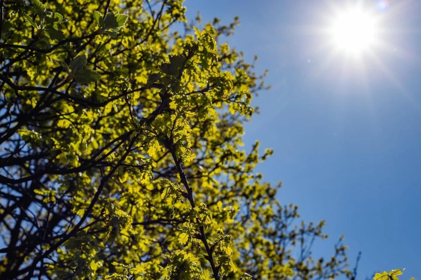 Última semana do verão será marcada por sol com chance de chuva