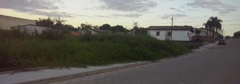 Falta de limpeza em terrenos baldios causam transtornos para moradores