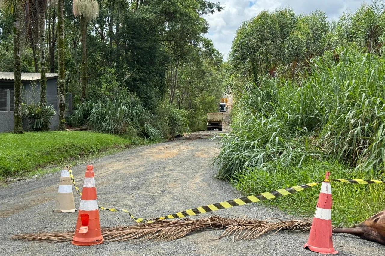 Criciúma: após via ceder e carro ser arrastado, rua no bairro Laranjinha é fechada para obras