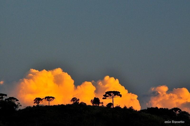 Semana será fria com amanhecer de 7 graus na região 