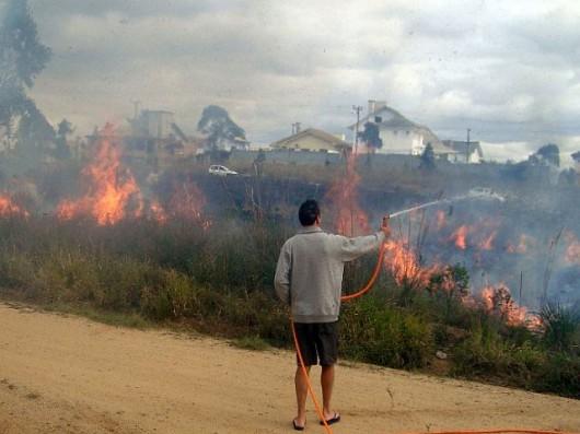 Incêndio em mata assusta moradores do Jardim Maristela