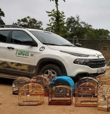 Criminosos invadem pátio da Prefeitura de Içara e roubam veículos
