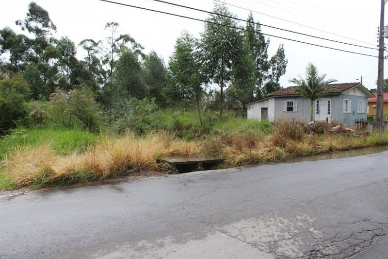 Loteamento em Criciúma tem mato acumulado e bocas de lobo obstruídas