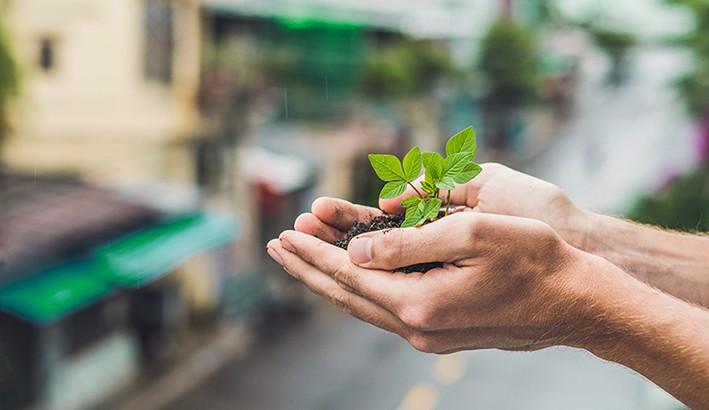 Conferência Municipal de Segurança Alimentar e Nutricional de Criciúma acontece nesta segunda-feira