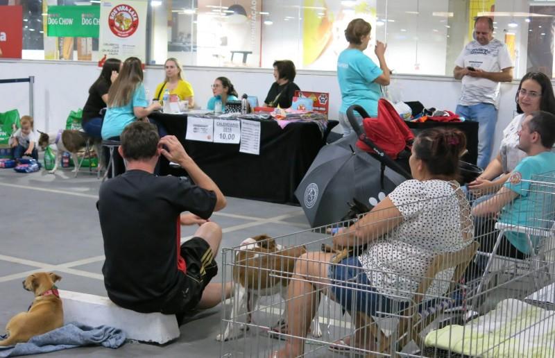 Nações Shopping recebe primeira Feira de Adoção de cães e gatos do ano