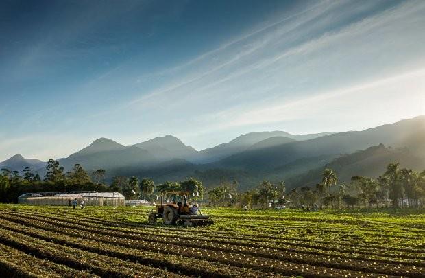 Santa Catarina terá Observatório do Agronegócio