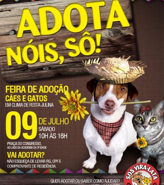 Feira de adoção junina