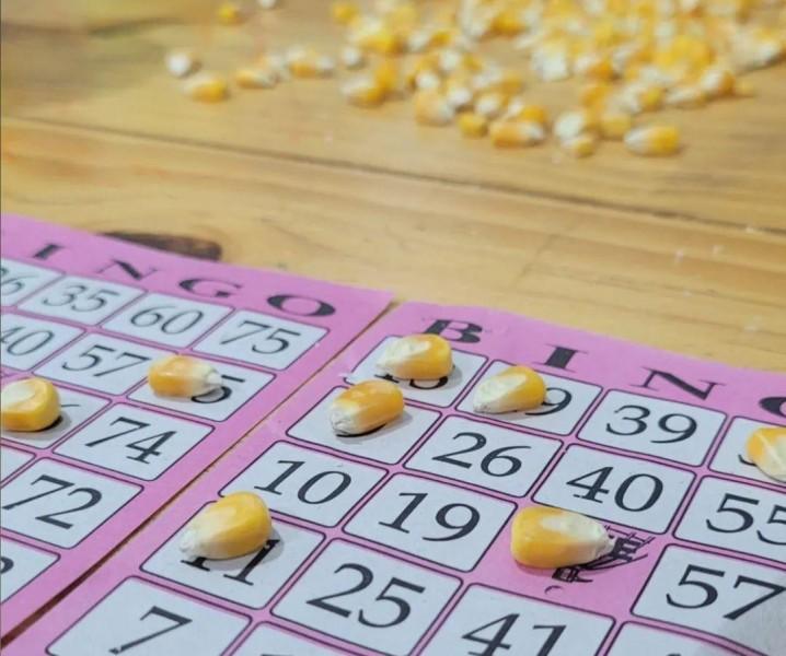 Bingo beneficente da Apae de Cocal do Sul acontece neste domingo