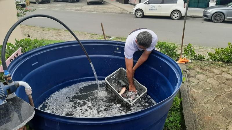 Feira do Peixe Vivo desta semana será na quinta-feira