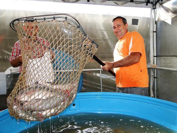 Feira do Peixe Vivo terá 1,6 mil quilos de pescados
