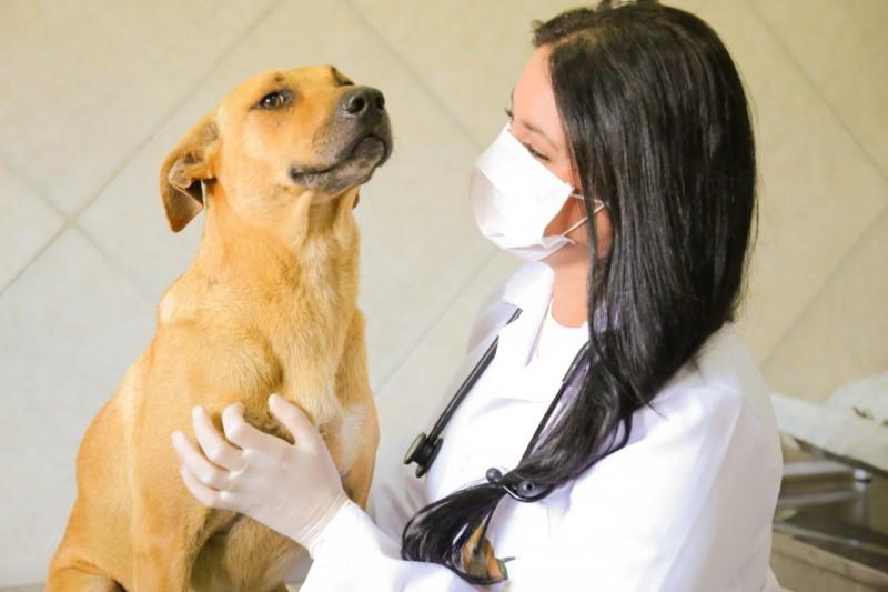  Centro de Castração completa quatro anos com seis mil animais castrados 