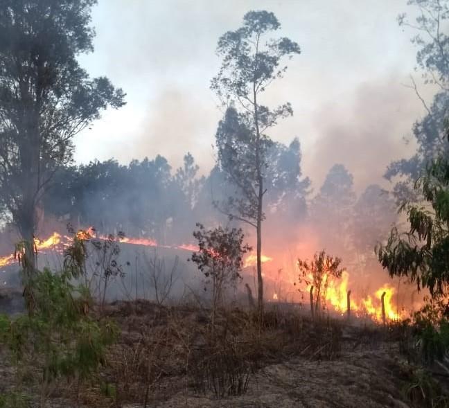 Bombeiros combatem incêndio em vegetação; cerca de 25 mil m² foram queimados