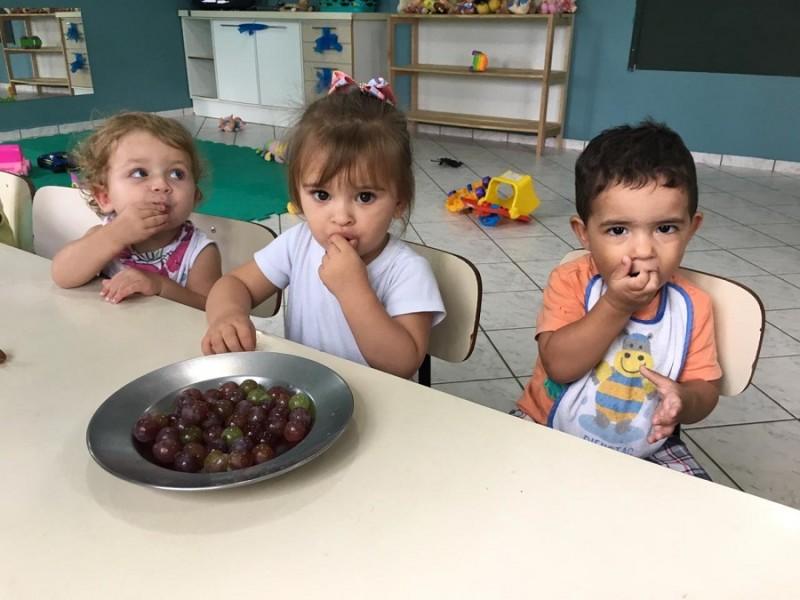 Merenda escolar ganha incremento com uvas produzidas em Urussanga