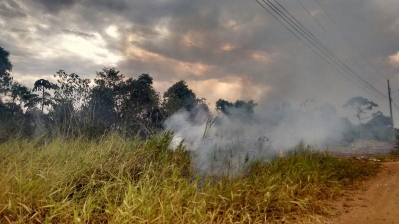 Mais de 50 incêndios em vegetação no último mês em Criciúma e região